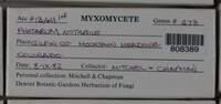 Image Associated With the Occurence